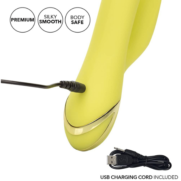 California Dreaming Venice Vixen - Totally Adult