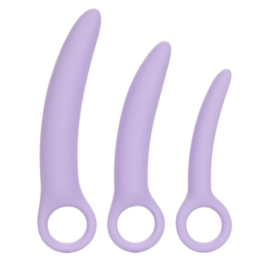 Dr Laura Berman Alena Set of 3 Silicone Dilators - Totally Adult