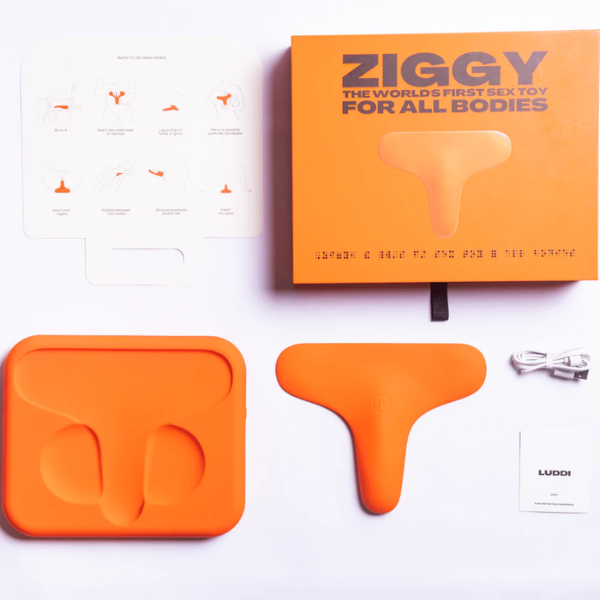 Luddi Ziggy - Totally Adult
