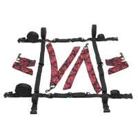 Scandal 8 Points Of Love Bed Restraints
