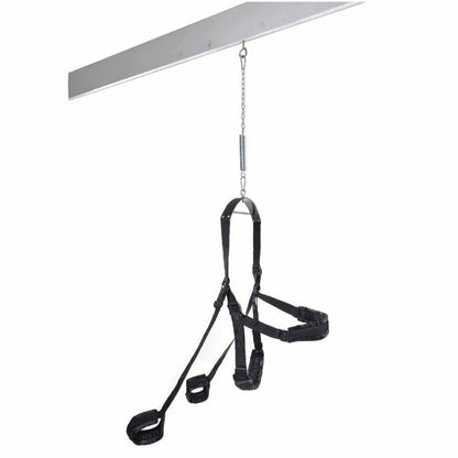 Pipedream FANTASY SWING - BLACK - Totally Adult